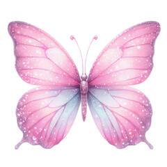 Beautiful butterfly isolated 