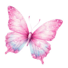 Beautiful butterfly isolated 