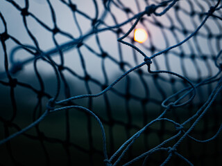 Entangled Light