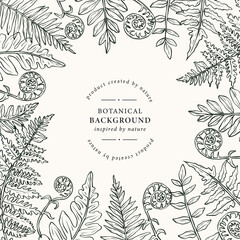 Hand drawn fern branches frame © Maria