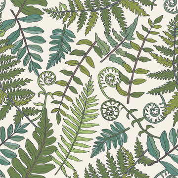Hand drawn fern branches seamless pattern