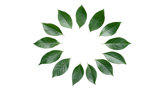 A circular arrangement of green leaves, creating a natural and harmonious design. Ideal for eco-friendly themes or organic products.