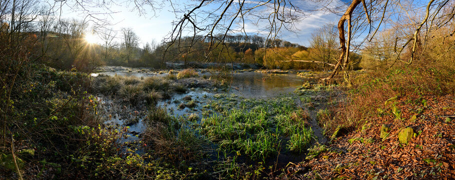 &Uuml;berflutete Wiese (Wupper-Aue) im Herbst