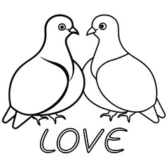 Romantic Pigeon Bird Couple with Love Text Vector Illustration