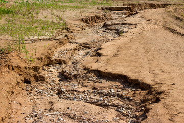 Gully on sandy soil exposing alluvial rock deposits