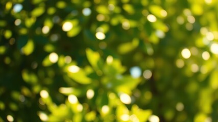 Obraz premium A vibrant and abstract image showcasing the ethereal beauty of nature with blurred green foliage and sunlit bokeh circles.