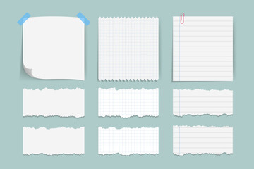 A Collection of Torn White Paper Notes for a Social Media Poster Banner