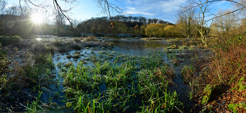 &uuml;berschwemmte Flussaue an der Wupper - Renaturierungsfl&auml;che zum Schutz von Amphibien und Wiesenv&ouml;geln (Wuppertal)