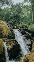waterfall in the forest