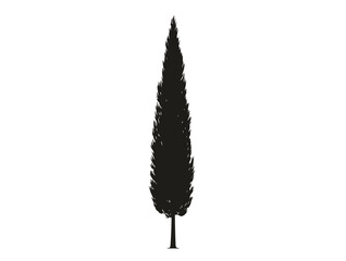 Italian Cypress tree silhouette vector illustration