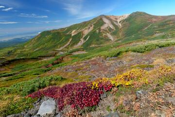 大雪山登山愛別岳 旭岳から裾合平1周コース　紅葉の日本百名山　北海道の絶景
