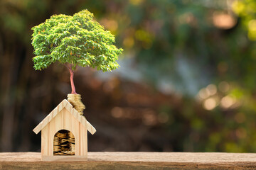 Home and stack coin and tree with growing on the top put on the wood in the public park, Saving for buy house and real estate or loan for business investment concept.