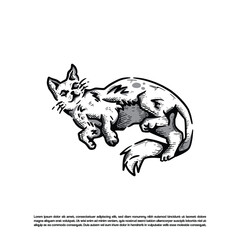 black and white cat lying in the floor isolated on white background