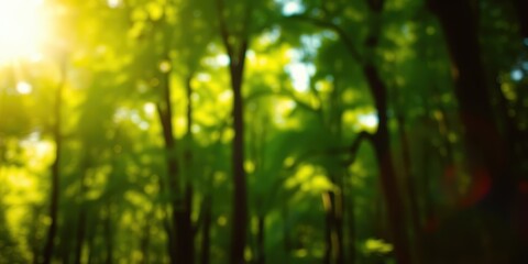 Obraz premium Sunbeams filtering through a lush canopy of trees creating a blurred background of greens and yellows