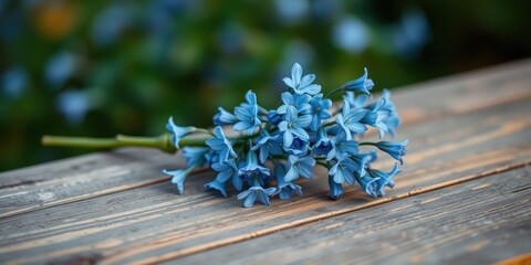 A delicate cluster of light blue flowers rest upon a weathered wooden surface, showcasing a vibrant contrast between nature's delicate beauty and the rustic charm of wood.