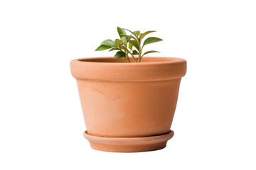 Fototapeta premium Plant clay pot isolated on transparent background. Generative ai