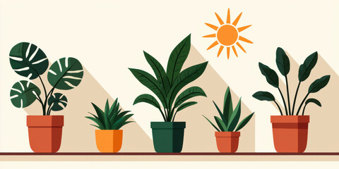 Fototapeta premium Lush plants in pots basking in sunlight, creating vibrant atmosphere