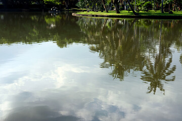 reflection in water