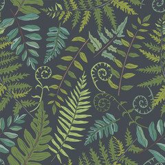 Hand drawn fern branches background © Maria