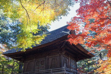 秋、赤黄緑の紅葉越しに見える茅葺屋根の仏閣