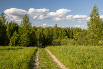 A country road leading through a meadow into the forest. Dirt road among grass and trees. Traveling and hiking in the countryside. Beautiful natural background. Summer forest landscape.