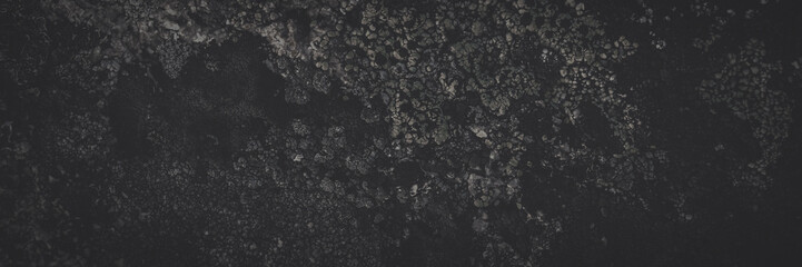 Natural texture of a stone covered with lichen. Lichenes patterns on a rock surface. Natural...