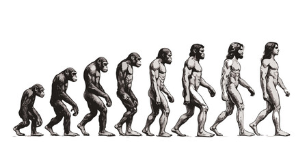 evolution of man from ape through various stages to modern human sketch engraving character vector illustration. high resolution 1