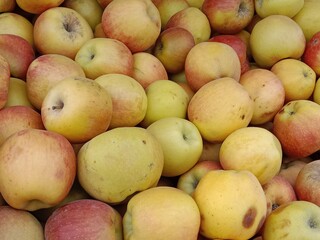 Apple fruit pile displayed in order on vendor's.Malus pumila fruit pile show for sale in the market 