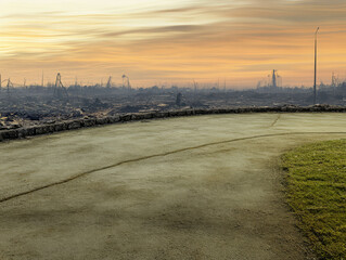 Obraz premium Landscape transformed by wildfire aftermath at dawn with charred remains in the background