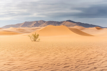 Fototapeta premium Expansive sandy landscape with distant mountains under a soft cloudy sky