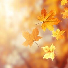 Obraz premium Bright yellow autumn leaves on a light background.