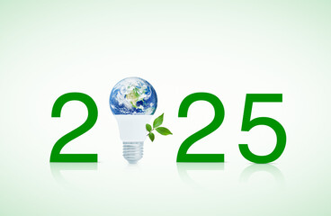 2025 text and earth globe inside led light bulb with fresh green tree leaves, Happy new year 2025 ecology and saving energy concept, Elements of this image furnished by NASA
