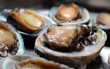 Healthy abalone in Korea. A close-up of fresh abalone.
