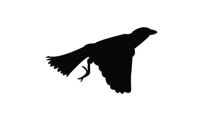 Flying Finches Bird Silhouette Design  And Vector Illustration. 
