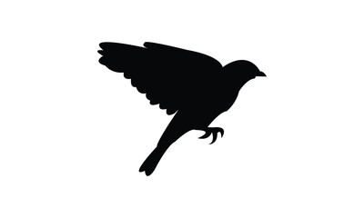 Flying Finches Bird Silhouette Design  And Vector Illustration. 