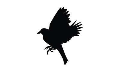 Flying Finches Bird Silhouette Design  And Vector Illustration. 
