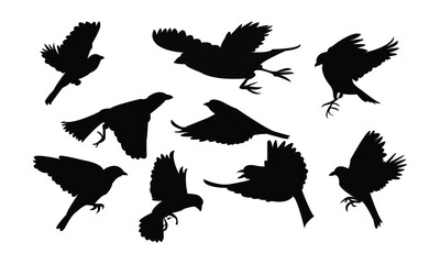 Obraz premium Flying Finches Bird Silhouette Design And Vector Illustration. 