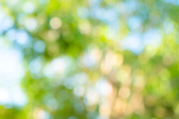 Green bokeh light nature from tree and sky background is a shiny naturally occurring shadow that is not clear but beautiful.