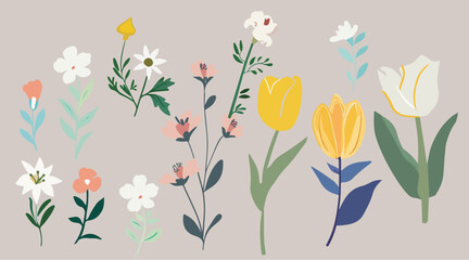 Collection of spring colorful bouquet flower elements vector. Set Botanical floral of wild flower, leaf branch, foliage on white background.