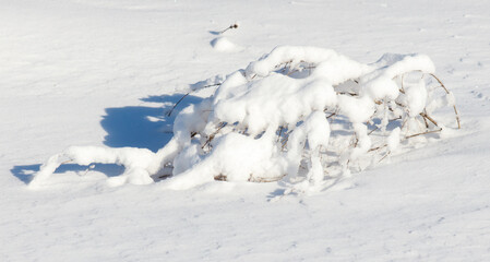 A branch covered in snow is laying on the ground
