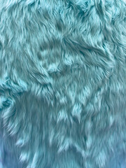 A blue fur with a lot of hair on it