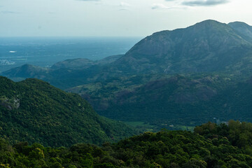 Serene Mountains Draped in Lush Green Forests