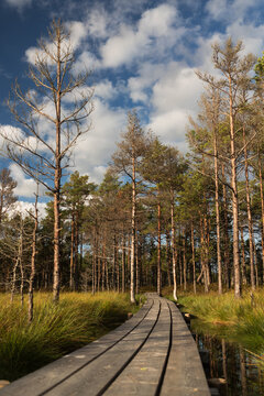 Low angle view of a boardwalk with blue cloudy sky on sunny day