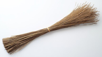 A bundle of straws is shown on a white background