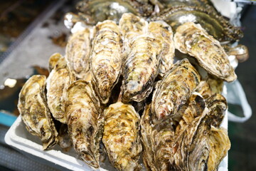 函館の朝市にあった殻付きの生牡蠣