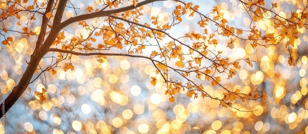 Aufkleber Autumn bokeh lights through tree branches creating a dreamy and warm atmosphere with golden foliage and soft background glow