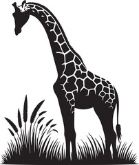 Fototapeta premium Giraffe black and white silhouette in vector form