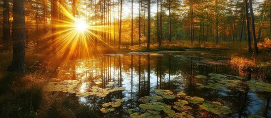 Serene autumn landscape featuring vibrant foliage and sunlight reflecting on a tranquil pond surrounded by trees and nature.