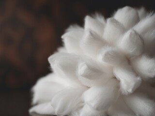 Fluffy white texture on a dark background.