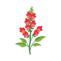  Snapdragons flower isolated flat vector illustration on white background